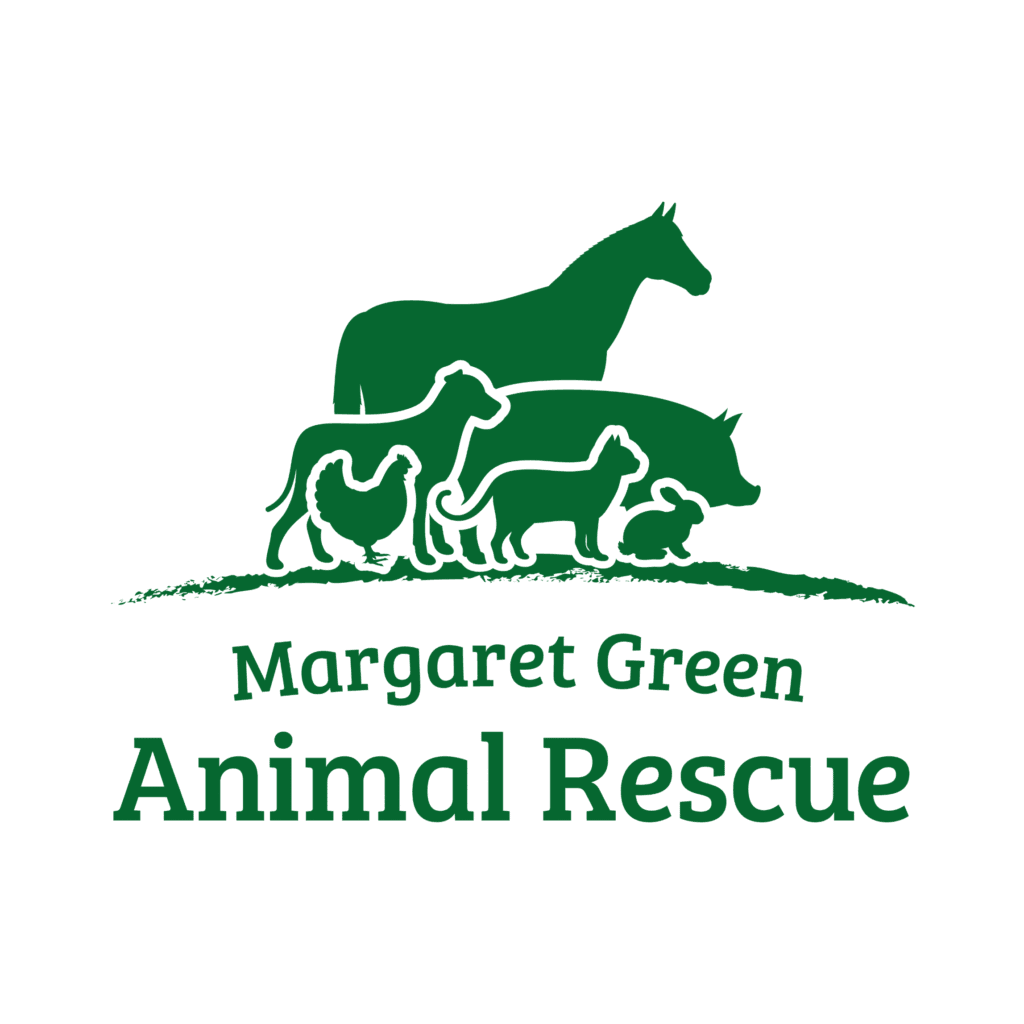 Margaret Green Animal Rescue Charity: Fundraising Machine Case Study